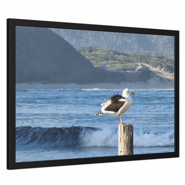 Photo print of a seagull standing on a pole overlooking the surf in the bay